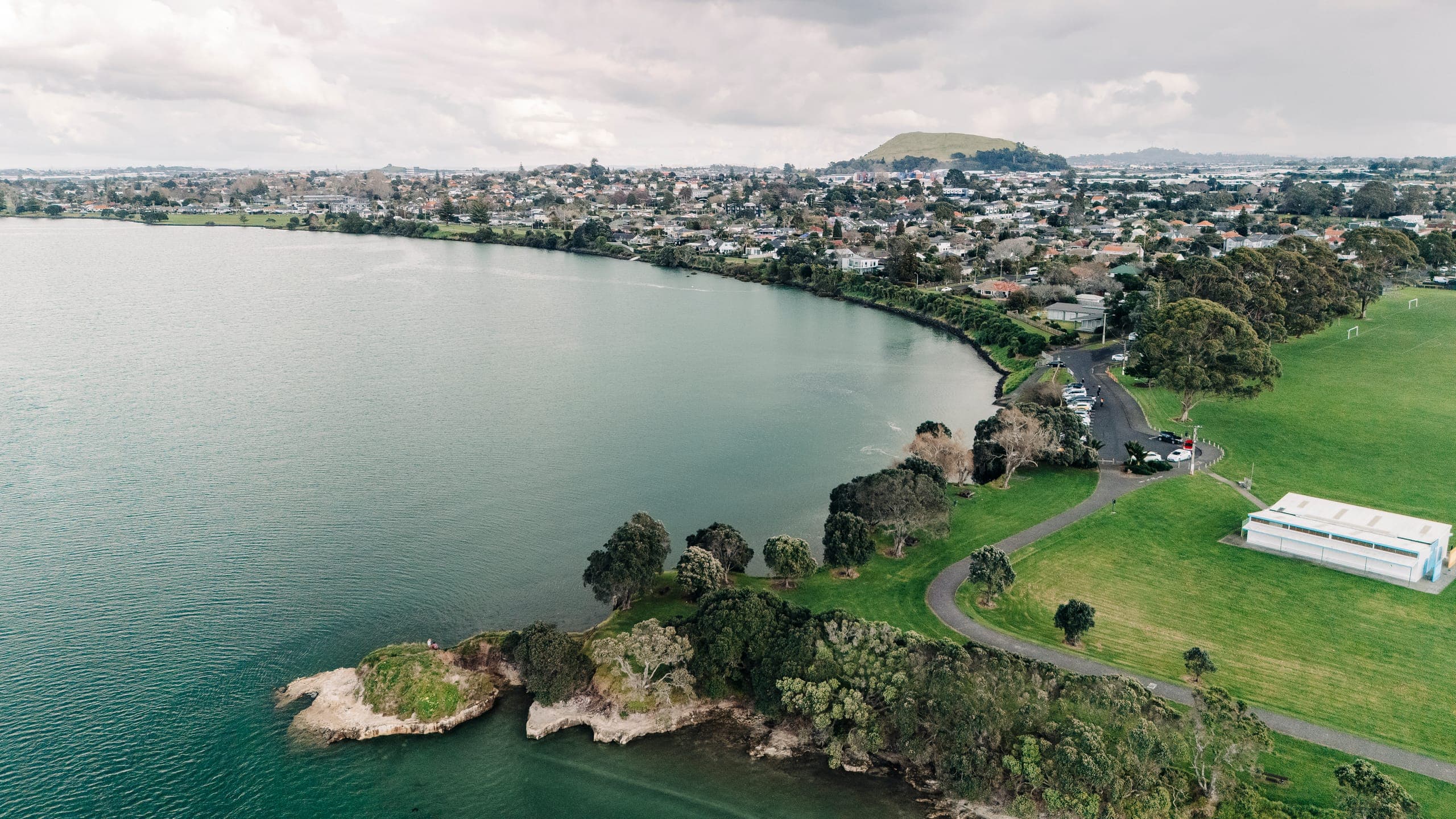 Hine Ki Te Wheiao — Māori Maternal Mental Health Collective