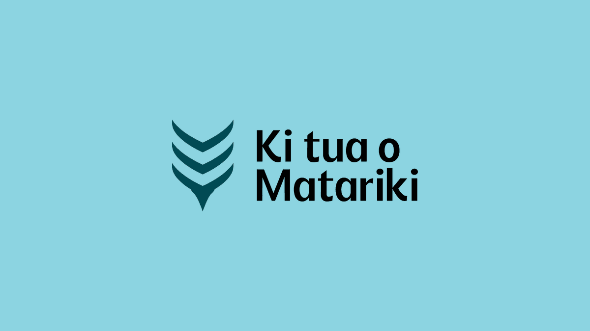Urgent Call to Support Vulnerable Rangatahi